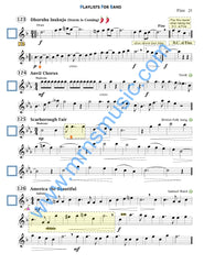 Playlists For Band Flute Book (Student Book Only)