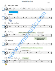 Playlists For Band Flute Book (Student Book Only)