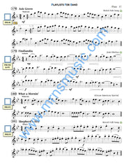 Playlists For Band Flute Book (Student Book Only)