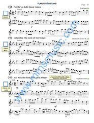 Playlists For Band Flute Book (Student Book Only)