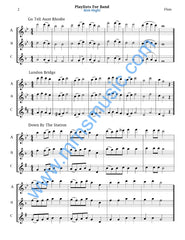 Playlists For Band Flute Book (Student Book Only)