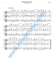 Playlists For Band Flute Book (Student Book Only)