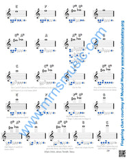 Playlists For Band Flute Book (Student Book Only)