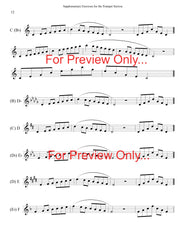 Supplemental Exercises for the Trumpet Section