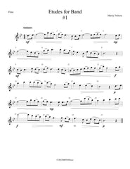 Etudes for Band - Flute Book  24 Progressive Etudes