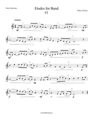 Etudes for Band - French Horn Book  24 Progressive Etudes