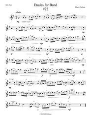 Etudes for Band - Alto Saxophone Book  24 Progressive Etudes