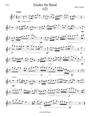 Etudes for Band - Flute Book  24 Progressive Etudes