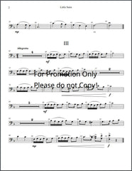 Little Suite Solo for Bassoon and Piano
