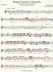 Plange Cantelui si Tarantella (The Count's Lament and Tarantella) Solo for Horn and Piano