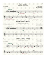 Scenes from the Cape Trumpet Solo Collection