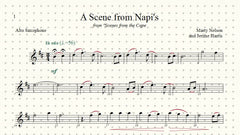 A Scene from Napi's Solo for Alto Saxophone and Piano