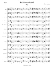 Etudes for Band - Tenor Saxophone Book  24 Progressive Etudes