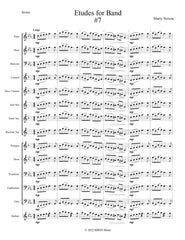 Etudes for Band - Flute Book  24 Progressive Etudes
