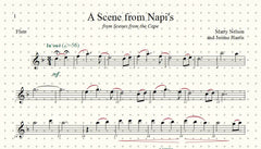Scene from Napi's Solo for Flute and Piano