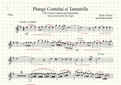 Plange Cantelui si Tarantella Solo for Flute and Piano