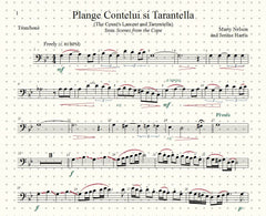 Plange Cantelui si Tarantella Solo for Trombone and Piano
