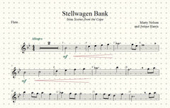 Stellwagen Bank Solo for Flute and Piano